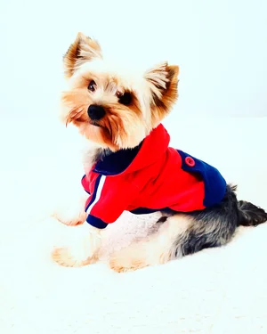 Alexandre da Silva Souza Pedroso / Be King/ Divulgação