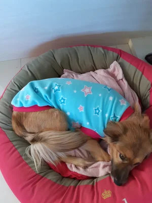 Jeito de Gente / Divulgação