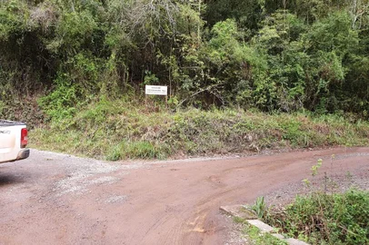 Estrada alternativa que liga Farroupilha a Nova Roma do Sul passará por alargamento<!-- NICAID(14547436) -->