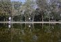 Sábado de sol com parques e orla fechados começa com movimento baixo em Porto Alegre