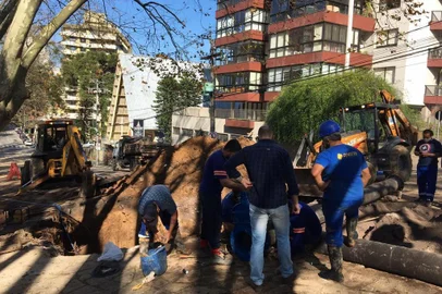 Poda de árvores e obras do Samae interrompem o trânsito na Rua Dr. Montaury, em Caxias<!-- NICAID(14548943) -->