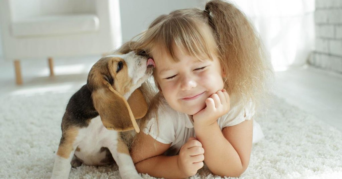 Filhos e animais juntos em casa? Veja os cuidados na convivência de pets e crianças – [Blog GigaOutlet]