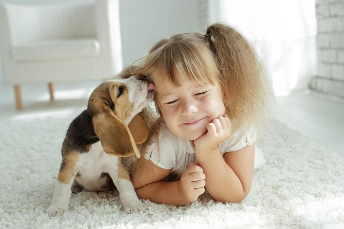 Filhos e animais juntos em casa? Veja os cuidados na convivência de pets e  crianças | Donna
