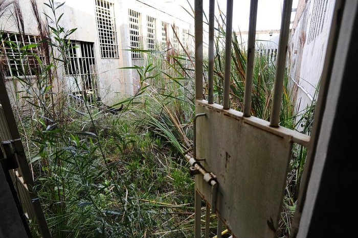 Ronaldo Bernardi / Agencia RBS