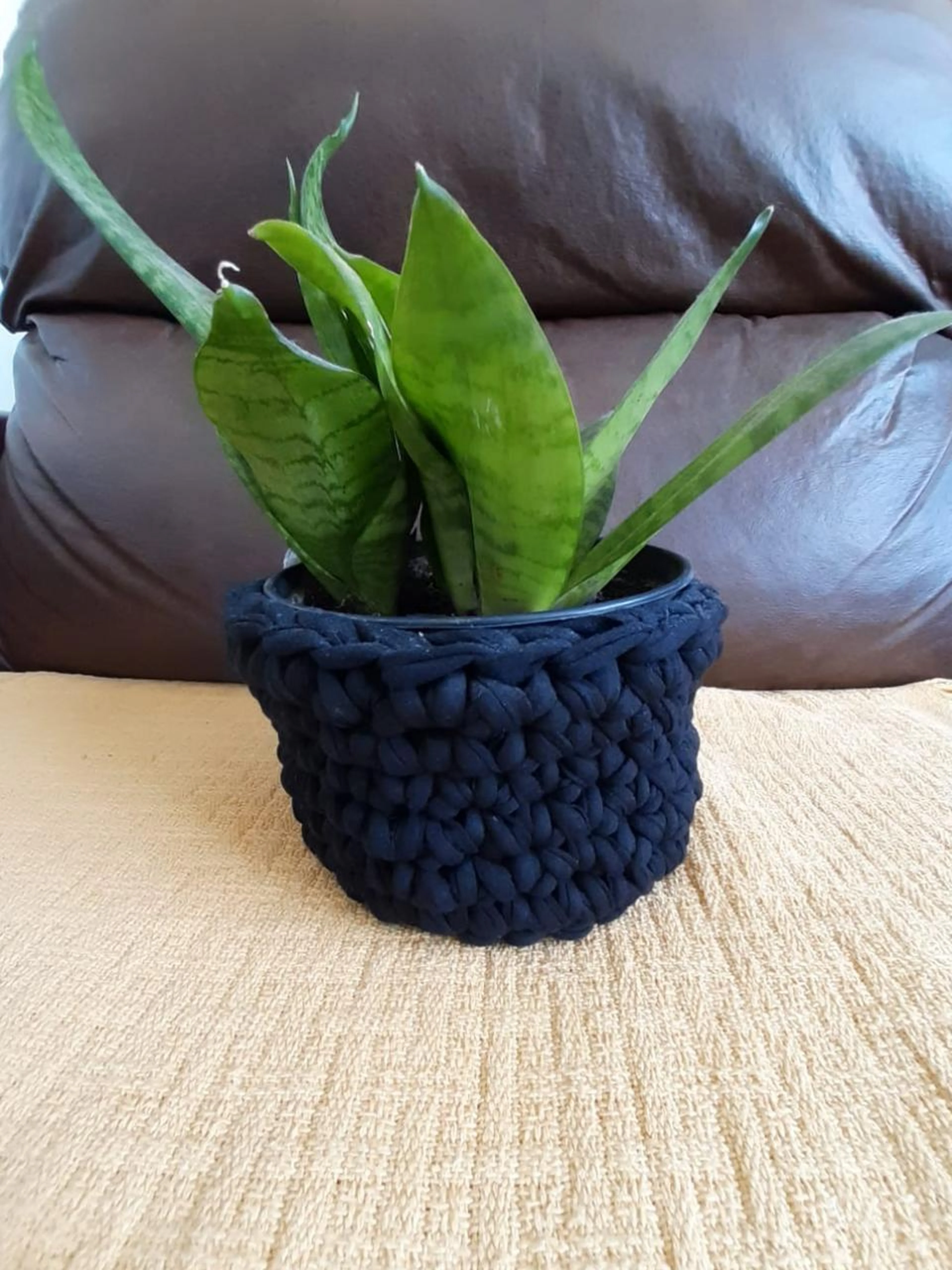 Taciana Padilha/Agencia RBS