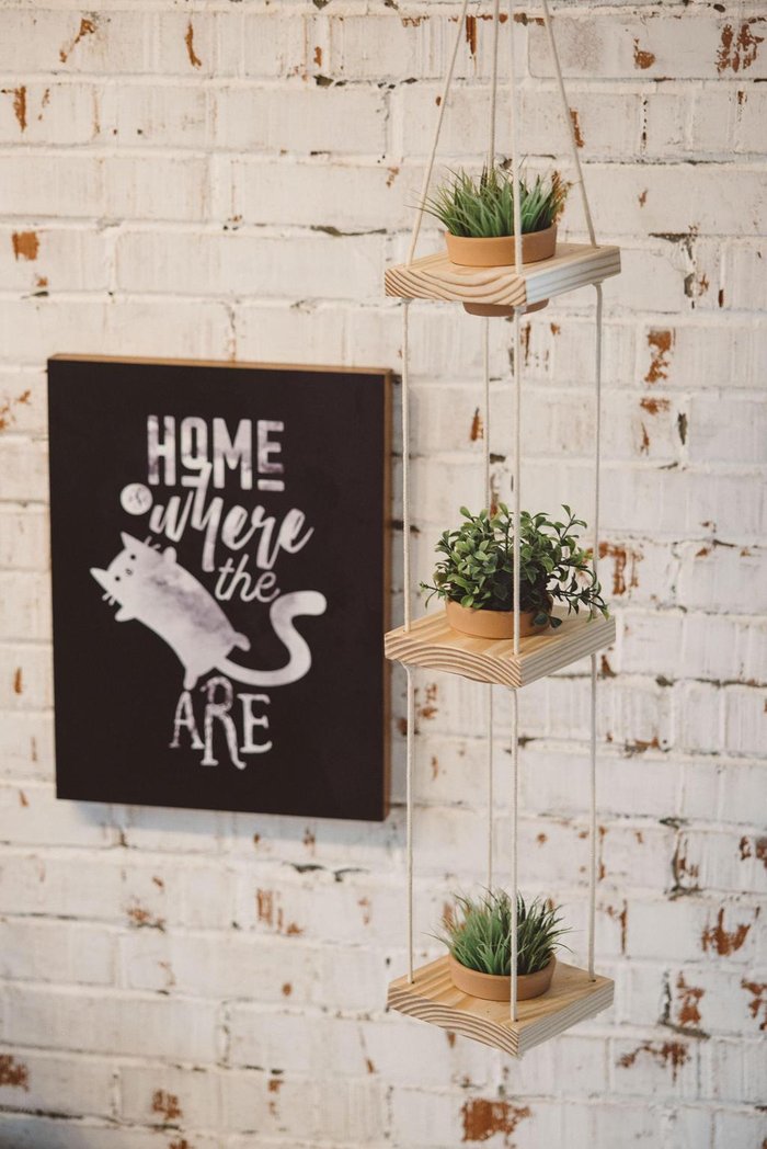 Rafael Bauer / Casalegre,Divulgação