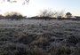 RS tem dia mais frio do ano, com -3,9°C em Quaraí 