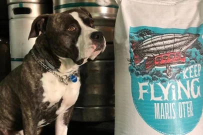 Empresa lança cerveja para homenagear cãozinho de estimação<!-- NICAID(14556007) -->