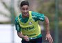 Como Diogo Barbosa se tornou prioridade absoluta para o Grêmio