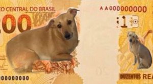 Reprodução / Twitter Reprodução / Twitter