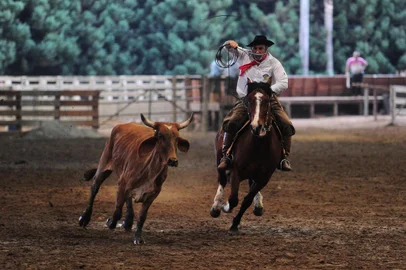  CAXIAS DO SUL, RS, BRASIL, 19/09/2019. Tradicionalismo - Semana Farroupilha, acampamento nos Pavilhões da Festa da Uva. Na foto, prova de tiro de laço. (Porthus Junior/Agência RBS)Indexador: Porthus Junior                  <!-- NICAID(14256030) -->