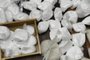 Polícia Civil apreende 90 quilos de cocaína no Vale do Sinos <!-- NICAID(14558542) -->