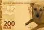 Conheça Pipi, a vira-lata caramelo que viralizou como modelo de cédula