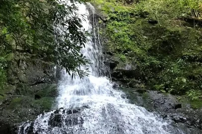 Sara Bodowsky, coluna, roteiro da sara, , rolante, cachoeira<!-- NICAID(14054500) -->