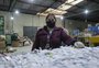 Conheça a unidade de reciclagem que funciona dentro do Hospital Psiquiátrico São Pedro