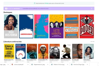Biblioteca Pública de Bento Gonçalves é pioneira no Estado com acervo digital<!-- NICAID(14571425) -->