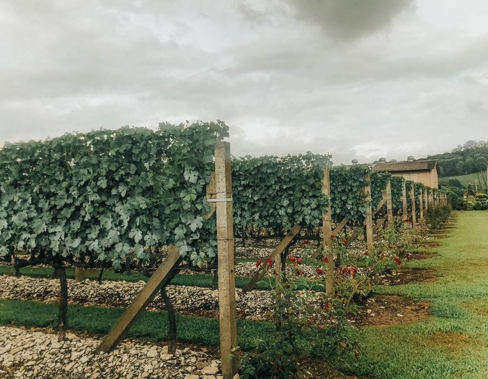 Amanda Xavier / Especial