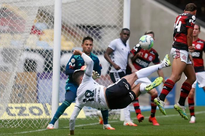 Botafogo / Divulgação