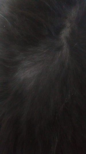 Daisy Vivian / Arquivo pessoal