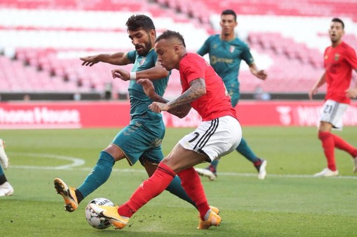 Benfica / Divulgação