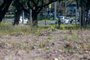  PORTO ALEGRE, RS, BRASIL - 2020.09.08 - Antigo terreno do ginásio da Brigada Militar, em Porto Alegre. (Foto: ANDRÉ ÁVILA/ Agência RBS)Indexador: Andre Avila<!-- NICAID(14586969) -->