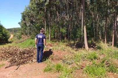  A Polícia Civil de Rio Pardo encontrou o corpo do motorista de aplicativo que havia desaparecido no município há mais de dez dias. O cadáver de Patrick Brum Dall Ongaro, de 30 anos, estava às margens da estrada geral de o do Adão, no interior de Rio Pardo<!-- NICAID(14588853) -->