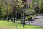  CAXIAS DO SUL, RS, BRASIL (10/09/2020)Caxienses aproveitam o parque dos macaquinhos como alternativa para passeios e exercicios durante o isolamento social. (Antonio Valiente/Agência RBS)<!-- NICAID(14588677) -->
