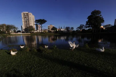  CAXIAS DO SUL, RS, BRASIL, 21/09/2020 - Dia 22 de Setembro marca o início da primavera, que segue até 21 de Dezembro. (Marcelo Casagrande/Agência RBS)<!-- NICAID(14597920) -->