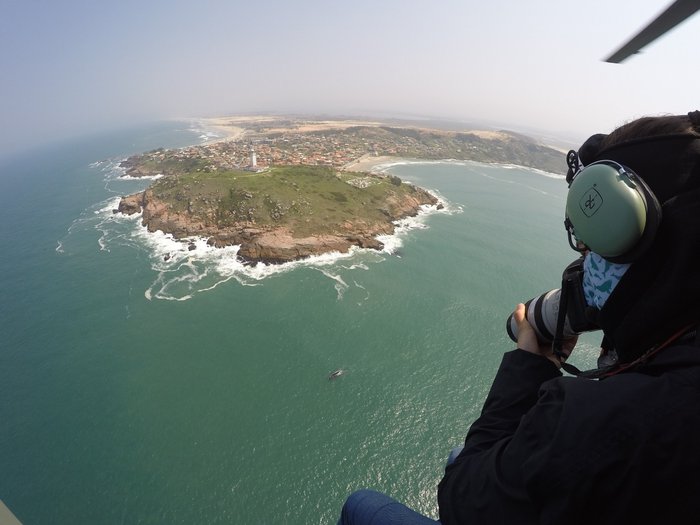 Divulgação / Instituto Australis 