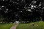 Inspirado em Nova York, Parque Germânia ganha círculos pintados na grama para manter distanciamento. Coronavírus, Porto Alegre<!-- NICAID(14511711) -->
