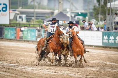 Esteio, RS, BRASIL, 27/09/2020-  Expointer 2020: Freio de Ouro. Na foto-(esq) 1° Femea -  Balisa III do Itapororó Foto:  Isadora Neumann /Agencia RBSIndexador: Fernando Gomes<!-- NICAID(14602643) -->