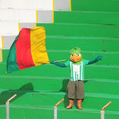 CAXIAS DO SUL, RS, BRASIL, 17/09/2020. Juventude x CRB, jogo válido pela quarta fase da Copa do Brasil 2020 realizado no estádio Alfredo Jaconi. O Periquito, mascote do Juventude, na arquibancada. (Porthus Junior/Agência RBS)<!-- NICAID(14594986) -->