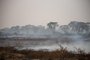 Incêndio ameaça animais no PantanalMT - QUEIMADAS/PANTANAL/ANIMAIS - GERAL - Vista de área devastada por incêndio no Pantanal de Porto Jofre, no município de Poconé   (MT), neste sávbado (19). O fogo que atingiu o Parque Estadual Encontro das Águas,   localizado na região de Porto Jofre, no Pantanal de Mato Grosso, destruiu 92 mil   hectares. Isso representa 85% da área total do local, que tem 108 mil hectares.    19/09/2020 - Foto: GREGORY FENILE/AGÊNCIA PIXEL PRESS/ESTADÃO CONTEÚDOEditoria: GERALLocal: POCONEIndexador: GREGORY FENILEFonte: Agencia Pixel PressFotógrafo: AGÊNCIA PIXEL PRESS<!-- NICAID(14596761) -->