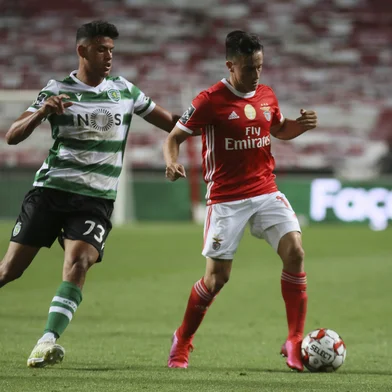 Cervi, Franco Cervi, Benfica, Futebol, Grêmio