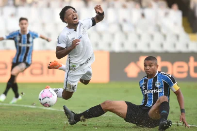 marinho, grêmio, david braz
