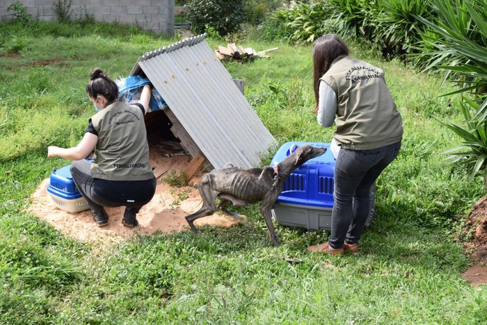 Divulgação / Polícia Civil