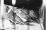 Mais de 200 pássaros, entre cardeais e canários-da-terra, foram apreendidos em uma operação realizada dia 18/05/2005 na BR-290, em Uruguaiana. Os pássaros viajariam escondidos em oito pequenas gaiolas (foto), de Uruguaiana até Porto Alegre. O contrabandista, um uruguaio naturalizado brasileiro, está preso.#PÁGINA:03 Fonte: Especial ZH<!-- NICAID(1676994) -->