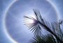 Halo solar é registrado em diversas cidades do Rio Grande do Sul