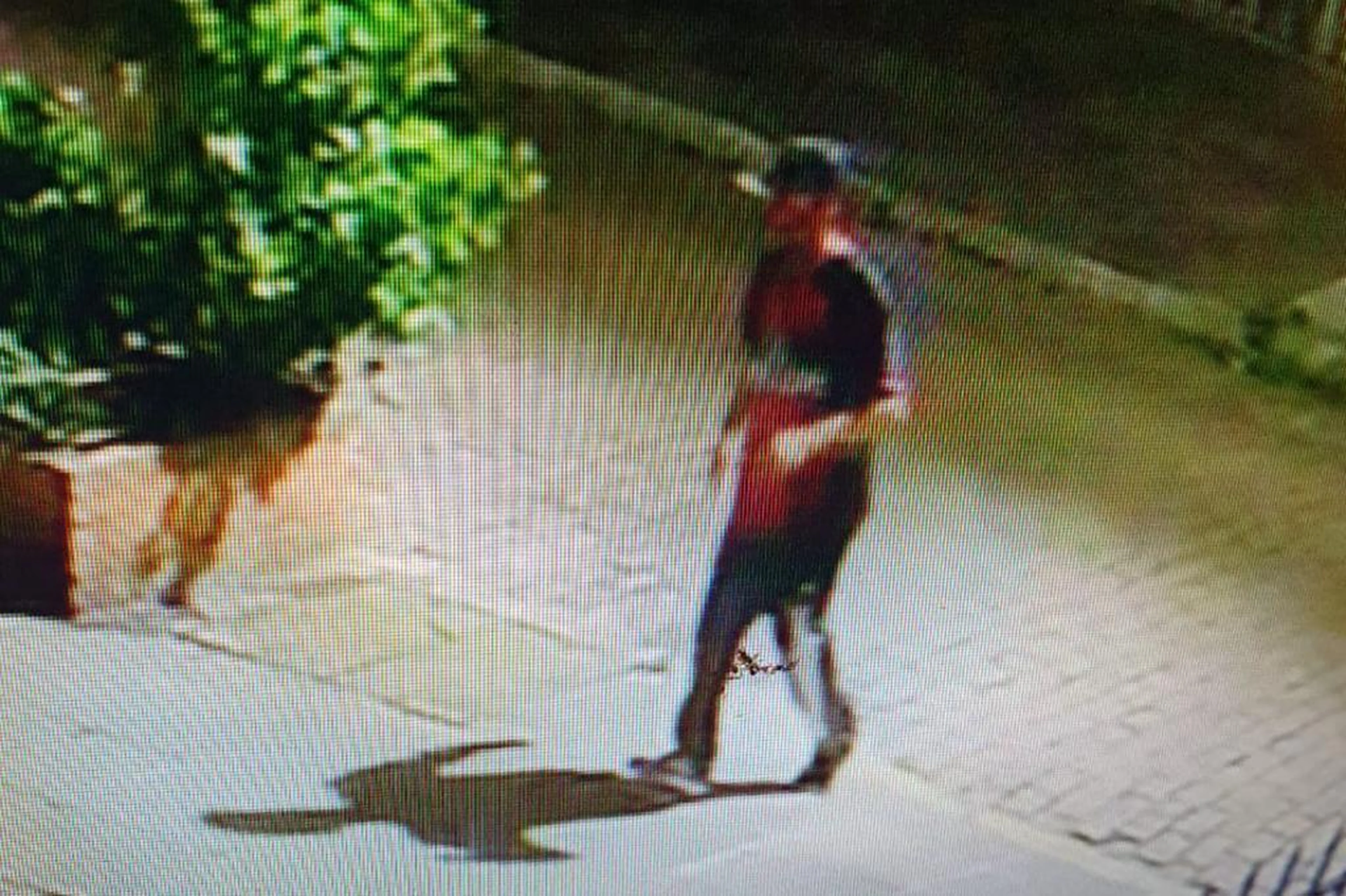 Polícia Civil/Reprodução