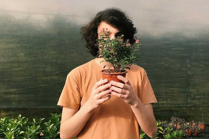 Reprodução / Divulgação