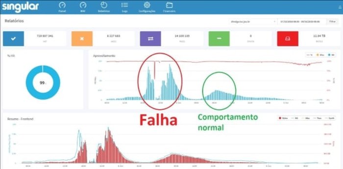 Reprodução / Reprodução