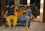 Claus e Vanessa preparam EP para celebrar os 20 anos de carreira: "Momento de renovação"