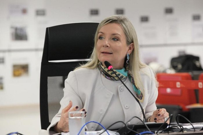 Sandra Krieger — Atuação Institucional