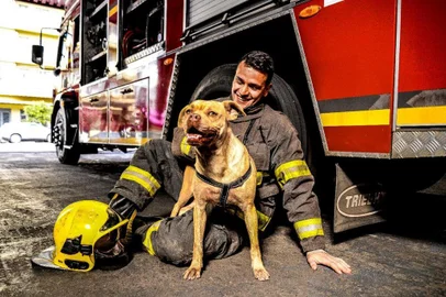 Calendário 2021: bombeiros de Caxias do Sul posam com animais resgatados para incentivar adoçõesO cenário para a produção das fotos não poderia ser diferente: o quartel da corporação. As imagens que ilustram os 12 meses de 2021 capturaram os soldados e os instrumentos de trabalhos usados pela corporação ao lado de animais da S.O.S Peludos e do Canil Municipal de Caxias do Sul.<!-- NICAID(14635176) -->