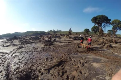As buscas pelos desaparecidos em Mariana, em Minas Gerais, em função do rompimento de duas barragens da mineradora Samarco, ganharam o reforço de dois cães da raça pastor-alemão e um pastor-belga malinois. Conforme o jornal Folha de S.Paulo, os animais têm cerca de quatro anos de experiência cada e viajaram do Espírito Santo para o distrito de Bento Rodrigues acompanhados por quatro soldados do Corpo de Bombeiros capixaba. De acordo com coordenador estadual de operações com cães, tenente-coronel Leonardo Merigueti, a equipe enviada para Minas Gerais é a mais experiente do Estado.<!-- NICAID(11811127) -->