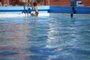  PORTO ALEGRE, RS, BRASIL - 2020.11.07 - Quais são os riscos e cuidados para uso de piscinas públicas durante a pandemia. Na foto: Lindóia Tênis Clube (Foto: ANDRÉ ÁVILA/ Agência RBS)<!-- NICAID(14637414) -->