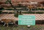 Governo gaúcho busca novo "dono" para o zoológico de Sapucaia do Sul