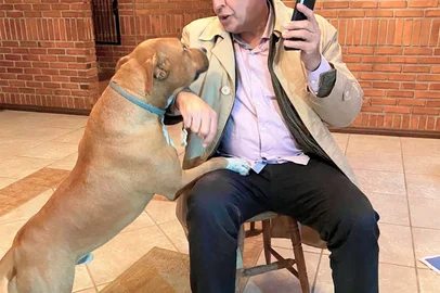 Na primeira manhã como prefeito eleito de Porto Alegre, Sebastião Melo (MDB) deixou sua casa, no bairro Guarujá, às 6h, para tratar o pitbull Bonny. O cão vive na antiga residência da família, no bairro Aberta dos Morros, também na Zona Sul. O político e a esposa se mudaram para a nova casa há alguns meses, segundo a assessoria, e enquanto o imóvel desocupado não é vendido, o animal faz a guarda do terreno.