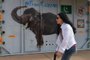 US pop singer Cher walks past the crate containing Kaavan the Asian elephant upon his arrival in Cambodia from Pakistan at Siem Reap International Airport in Siem Reap on November 30, 2020. (Photo by TANG CHHIN Sothy / AFP)<!-- NICAID(14656515) -->
