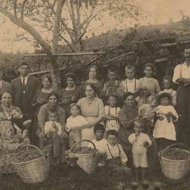 Vindima na propriedade da família de Ludovico Cavinato.Localidade de Travessão Thompson Flores, na antiga Nona Légua, em 1918. Foto integrante da exposição alusiva aos 145 anos de imigração italiana. Identificação:1. [...] Marchioro2. Antonio Salvador3. José de Carli4. Anunciata Cavinato (esposa de José de Carli)5. Romilda Cavinato6. Ermelinda Cavinato7. Armando Cavinato8. João Salvador9. Doralice Cavinato10. Érico Cavinato11. Ludovico Cavinato12. Angelo Cavinato (pai de Ludovico Cavinato)13. Luiza Salvador14. Getúlia Cavinato15. Ida Geremia16. Duílio Geremia17. Cecília Boza18. Margarida Boza19. Vanda Cavinato20. Ernesto Salvador21. Valter Cavinato22. Elio Geremia23. [¿]24. Antonio Salvador25.Valentim Boza<!-- NICAID(14656524) -->
